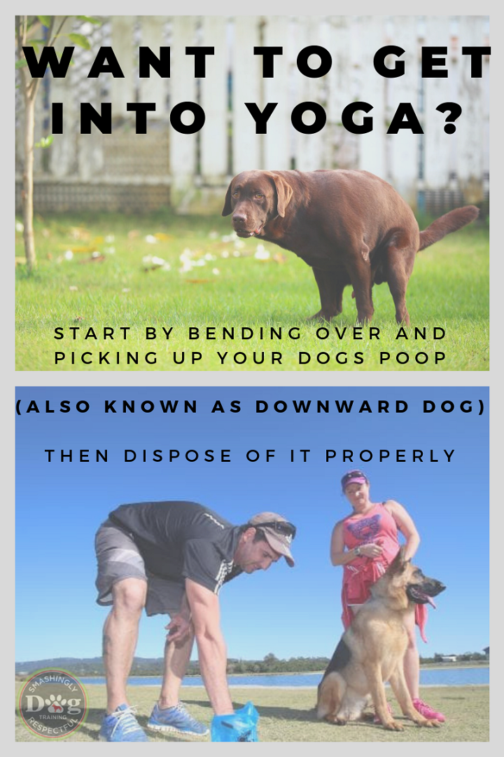Do Yoga! Pick up your dogs poop!